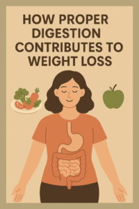 Imagen que muestra el sistema digestivo y cómo una digestión adecuada contribuye a la pérdida de peso, con una manzana y una ensalada representando opciones saludables.